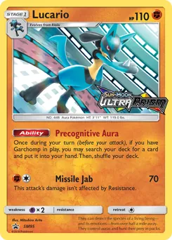 SM Black Star Promos Lucario Pokémon card